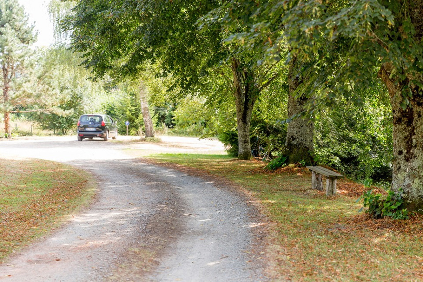 Floromel, La Souterraine - photo 9