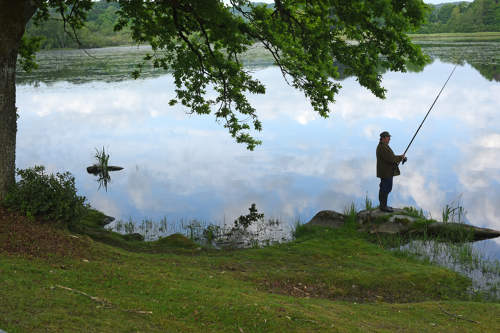 Les étangs de la Cazine, Noth - photo 4