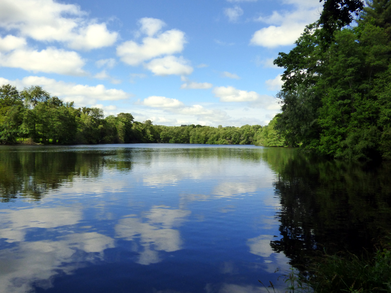 Les étangs de la Cazine, Noth - photo 7