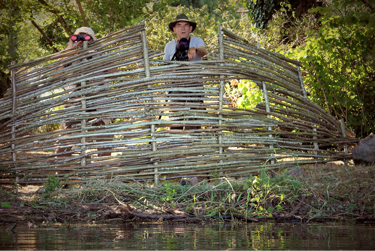 Les étangs de la Cazine, Noth - photo 2