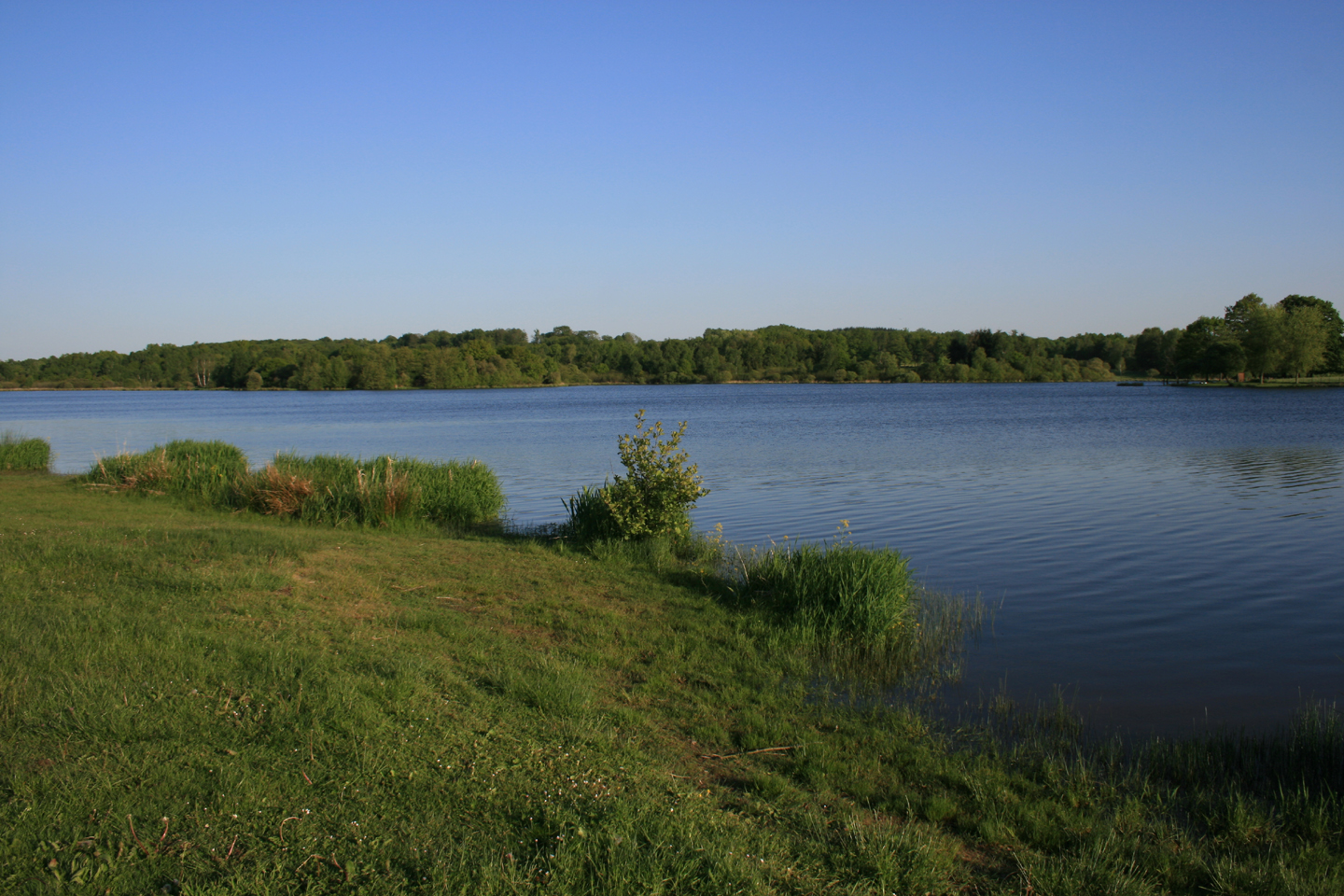 Etang de la Chaume, Azerables - photo 2