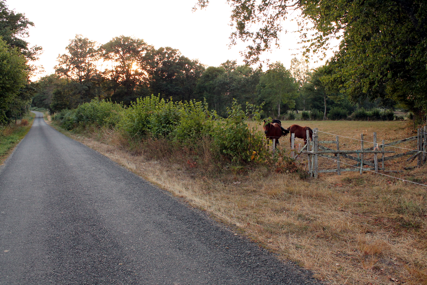 BLV n° 15 - Echappée vers la Cazine, La Souterraine - photo 2