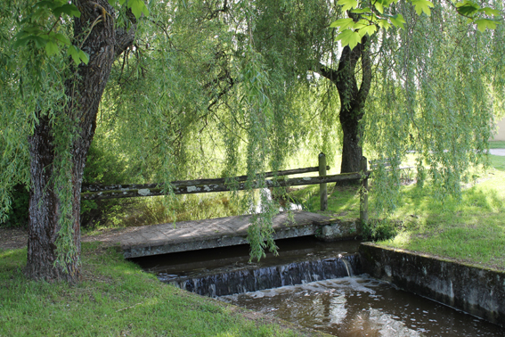 Le marais de la Chapuisette - photo 2