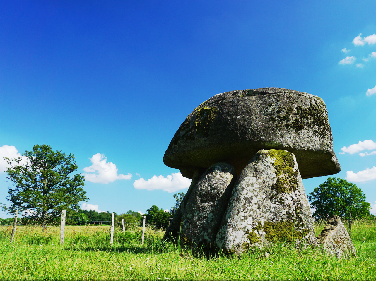 Dolmen de la Pierre Folle, Saint-Priest-la-Feuille