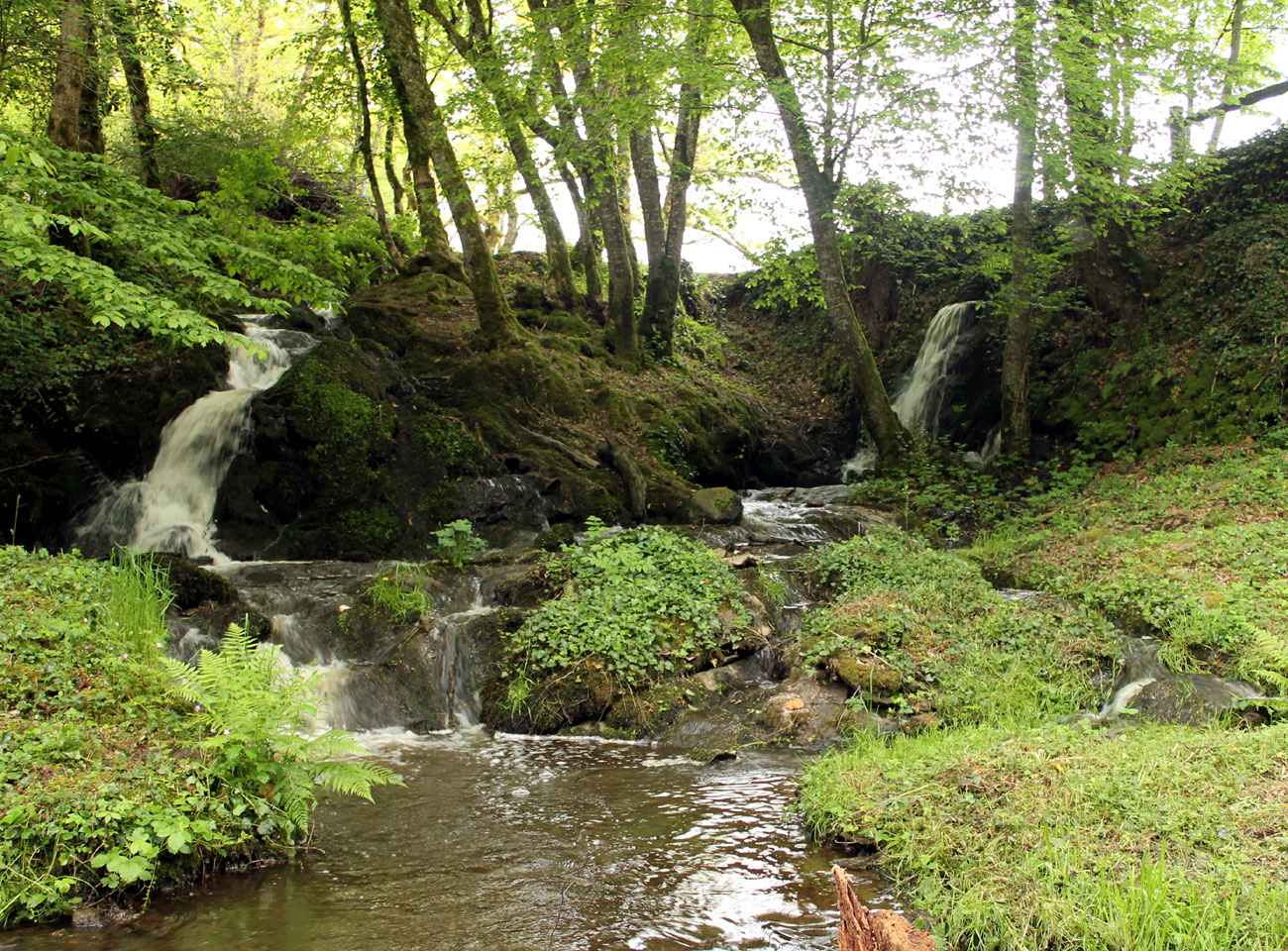 Lande de la Saumagne - photo 2
