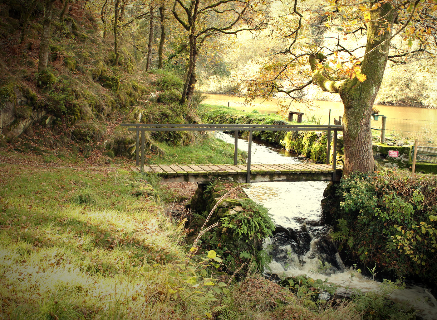 Peu de Châtelus - photo 2