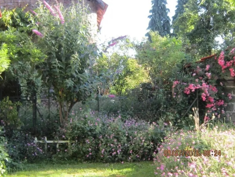 Le lilas, Saint-Maurice-la-Souterraine - photo 6