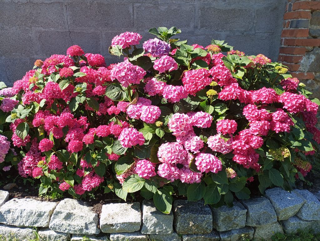 LE CHANT DU MERLE, Le Grand-Bourg - photo 16