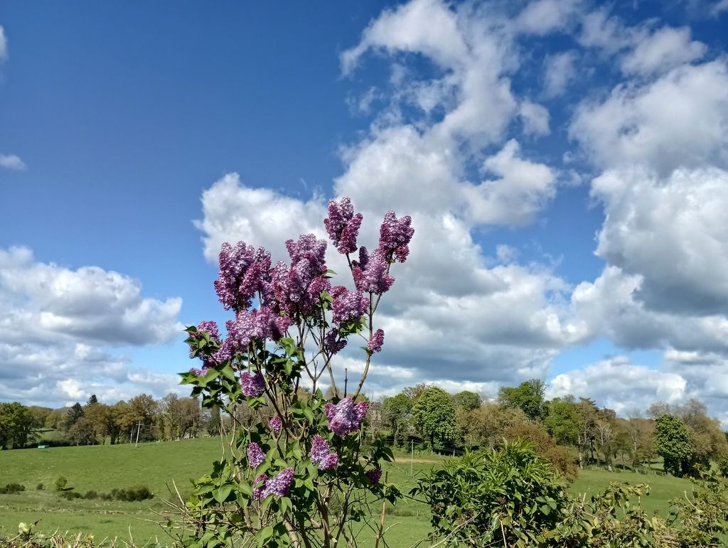 LE CHANT DU MERLE, Le Grand-Bourg - photo 7