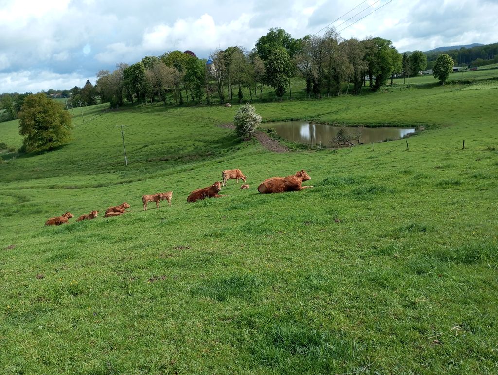 LE CHANT DU MERLE, Le Grand-Bourg - photo 18