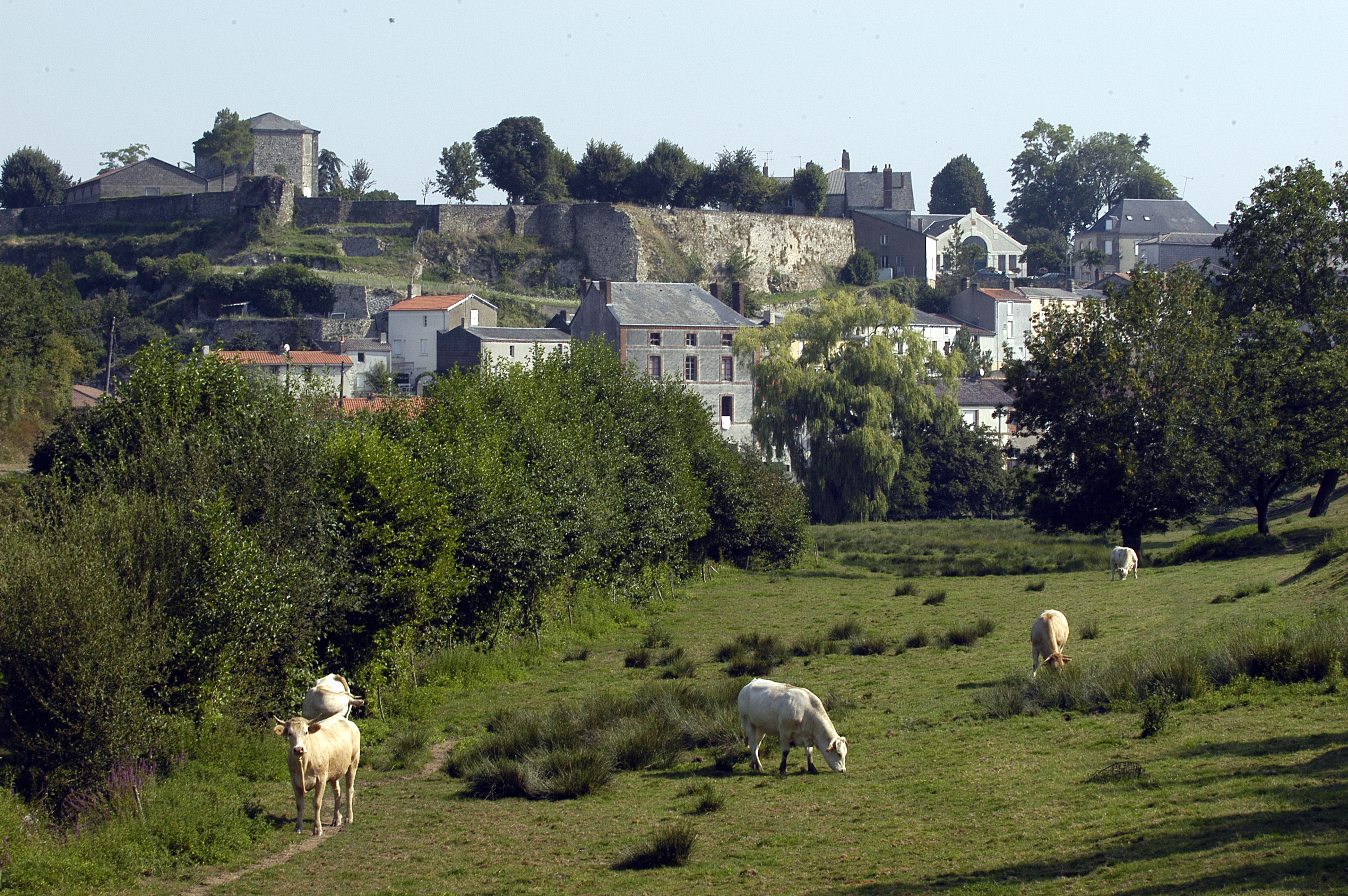 Mauléon, Petite Cité de Caractère®