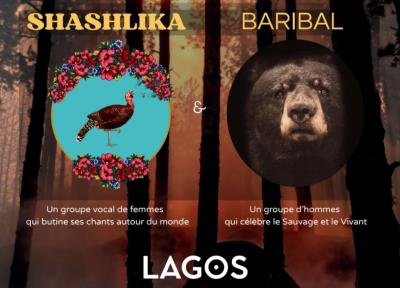 Concert Baribal - Shashlika