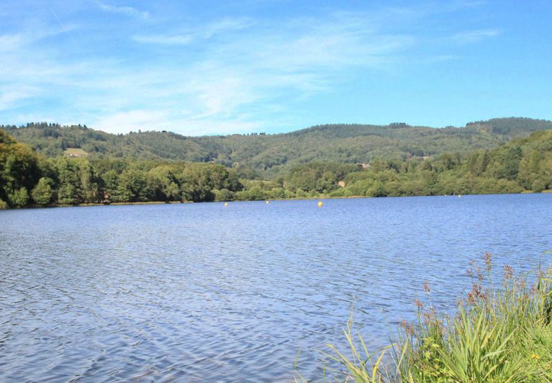 Baignade au plan d'eau de Jonas - Ambazac, Ambazac - photo 4