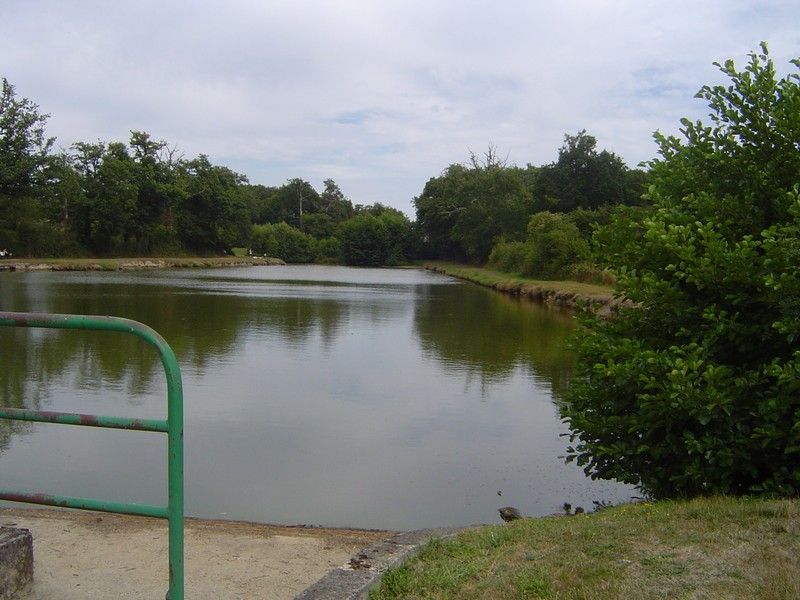 Camping Les Forges - photo 2