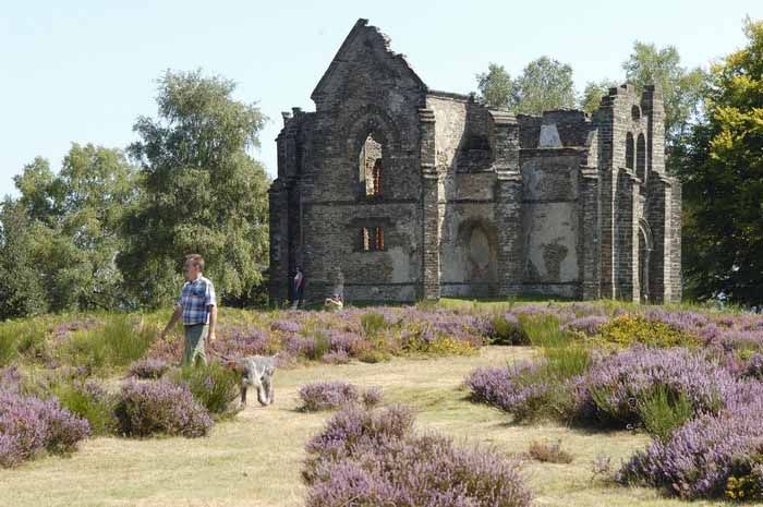 Mont Gargan - photo 3