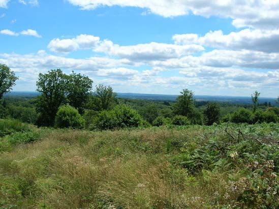 Circuit 'Sur les traces d'Henry IV', Montrol-Sénard - photo 5