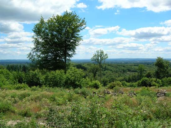 Circuit 'Sur les traces d'Henry IV', Montrol-Sénard - photo 6