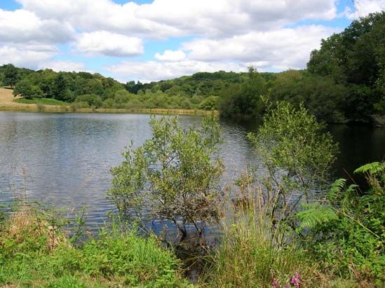 Circuit 'Sur les traces d'Henry IV', Montrol-Sénard - photo 3