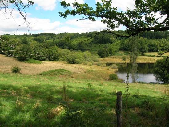 Circuit 'Sur les traces d'Henry IV', Montrol-Sénard - photo 4