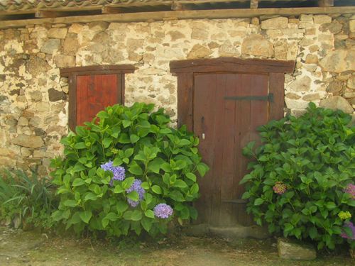 Chemin de l'âme de l'âne au Rio Négro, La Geneytouse - photo 6
