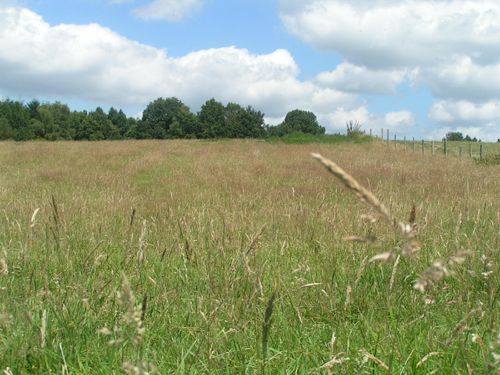 Chemin de l'âme de l'âne au Rio Négro, La Geneytouse - photo 7