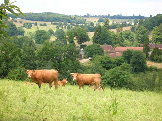 Circuit du Puy de Grammont, Saint-Méard