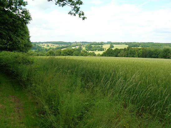 Circuit du Puy de Grammont, Saint-Méard - photo 5