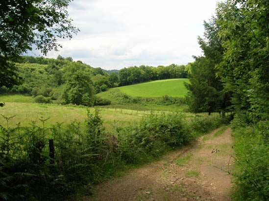 Circuit du Puy de Grammont, Saint-Méard - photo 8