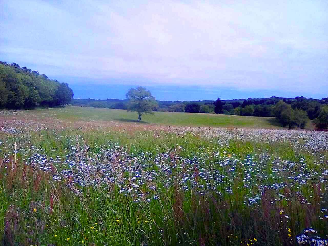 Circuit du Duveix, Saint-Méard
