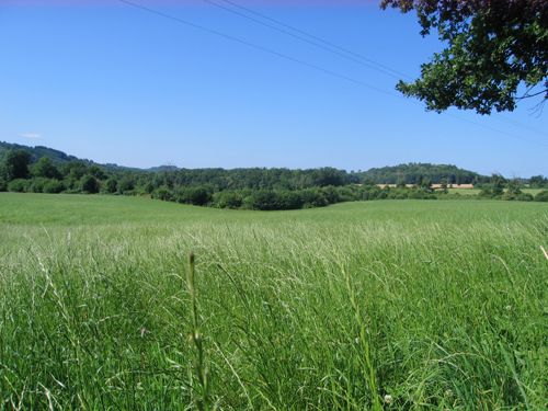Circuit Les Daumiers — photo 2