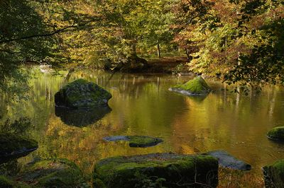 Circuit des sources de la Dronne, Bussière-Galant