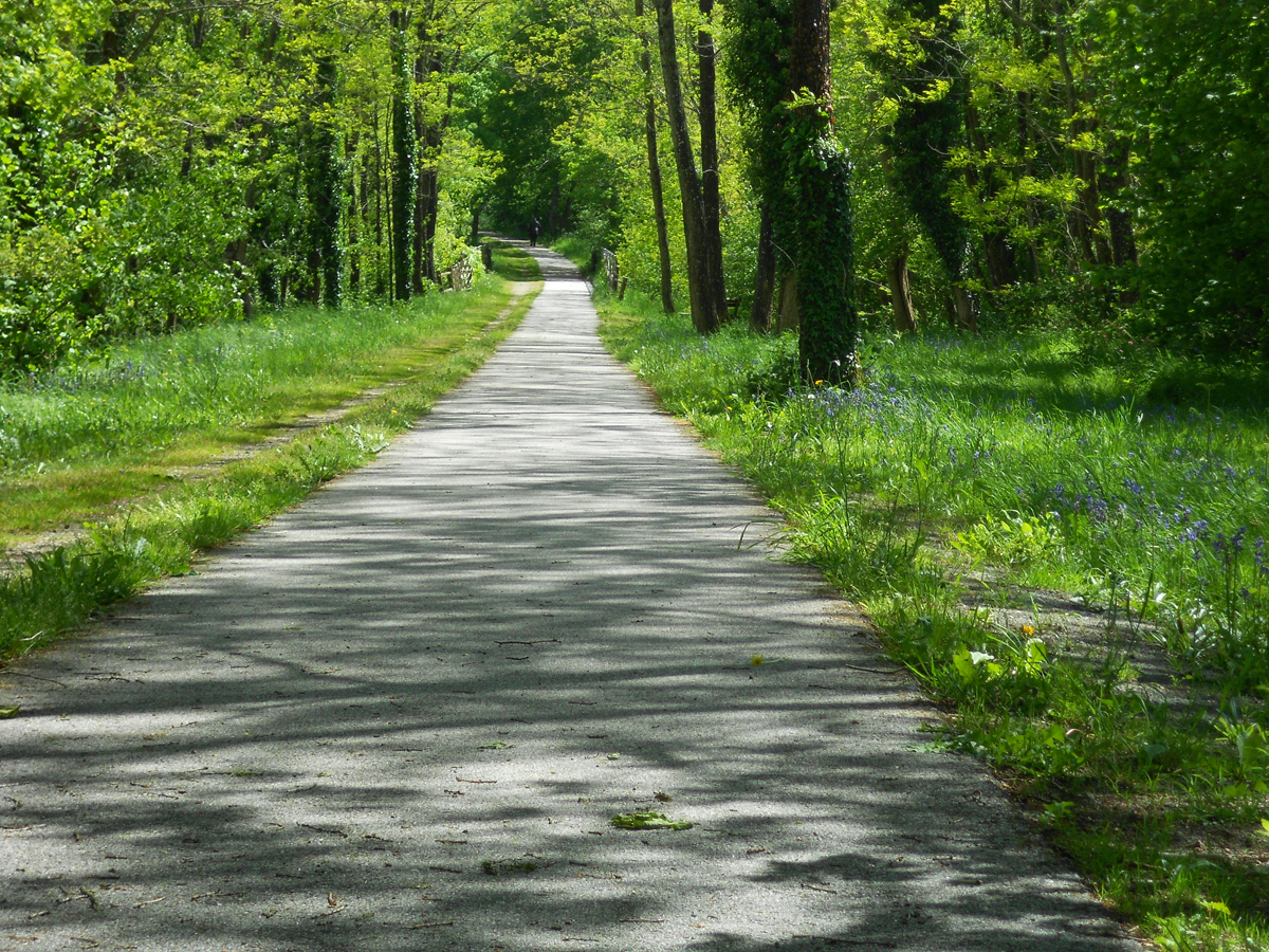 La Voie Verte des Hauts de Tardoire, Châlus - photo 7