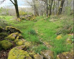 Circuit 'Las Pradas'