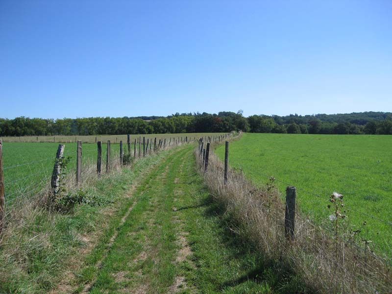 GRP® des Monts de Blond : étape 1 : Cieux - Mortemart, Cieux