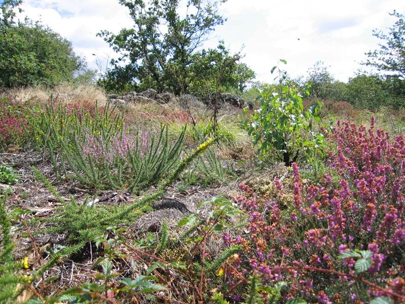 GRP® des Monts de Blond : étape 1 : Cieux - Mortemart, Cieux - photo 2