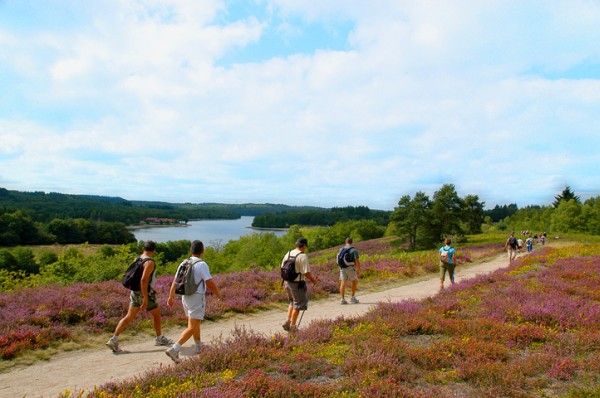 Circuit le tour du lac de Saint-Pardoux