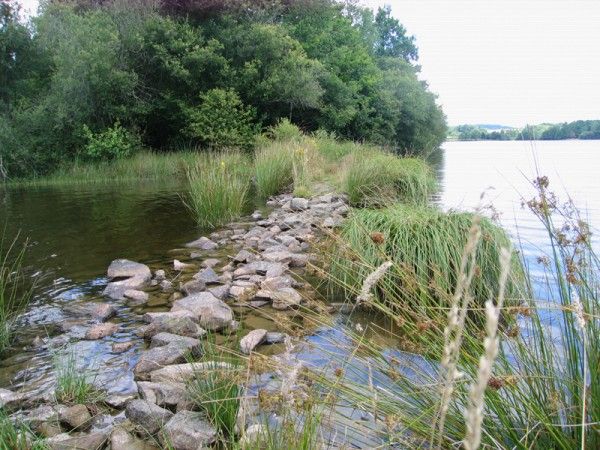 Circuit le tour du lac de Saint-Pardoux, Saint-Pardoux-le-Lac - photo 2