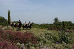 GRP®  des Monts de Blond : étape 3 Blond-Cieux, Blond - photo 3