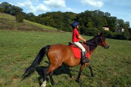 GRP® des Monts de Blond : étape 4 : Cieux - Oradour sur Glane, Cieux - photo 2