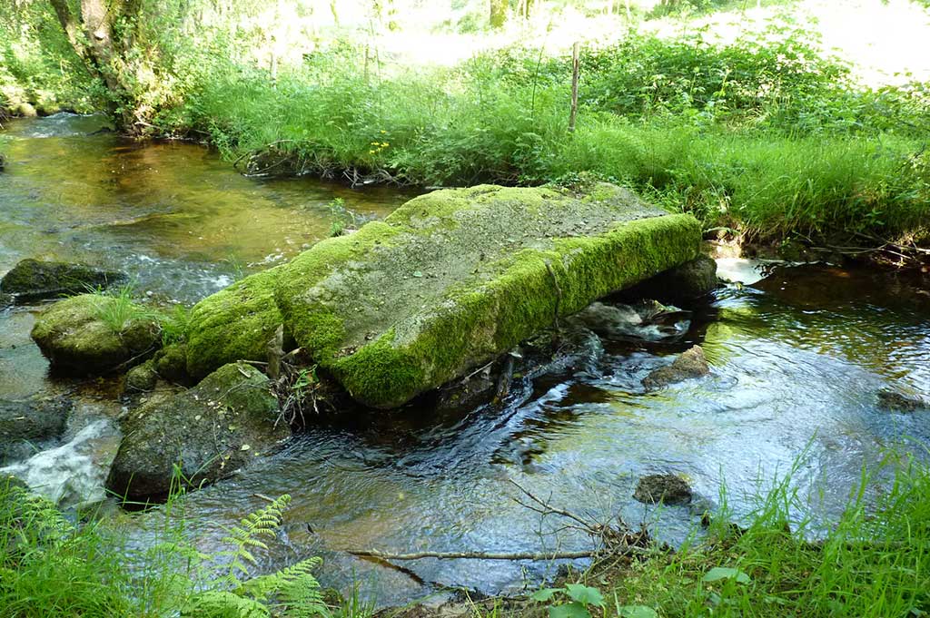 Le chemin des moines de Grandmont, Saint-Sylvestre - photo 4