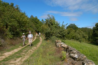 Balade en forêt des loges, Saint-Priest-sous-Aixe - photo 2