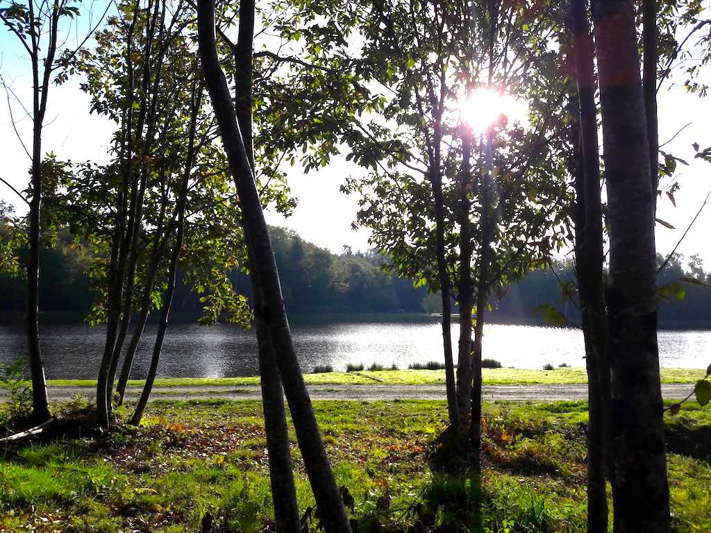 Circuit de Masselièvre, La Chapelle-Montbrandeix - photo 4