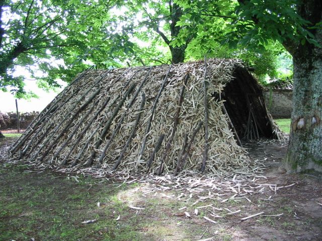 La forêt de Cromières, Cussac - photo 3