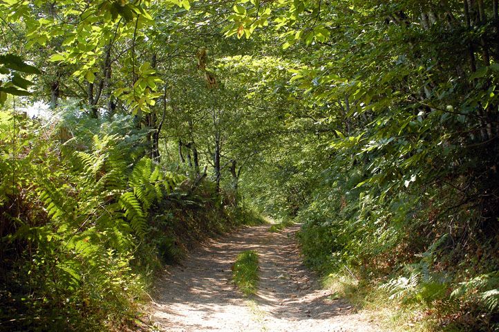 Circuit de Naboulièras, Glanges - photo 4