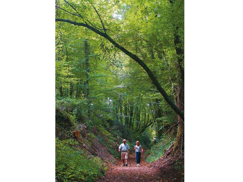 Circuit de Naboulièras, Glanges - photo 2