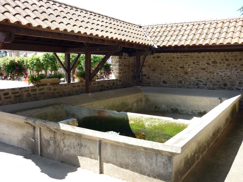 Sentier Les débutants - piste 6