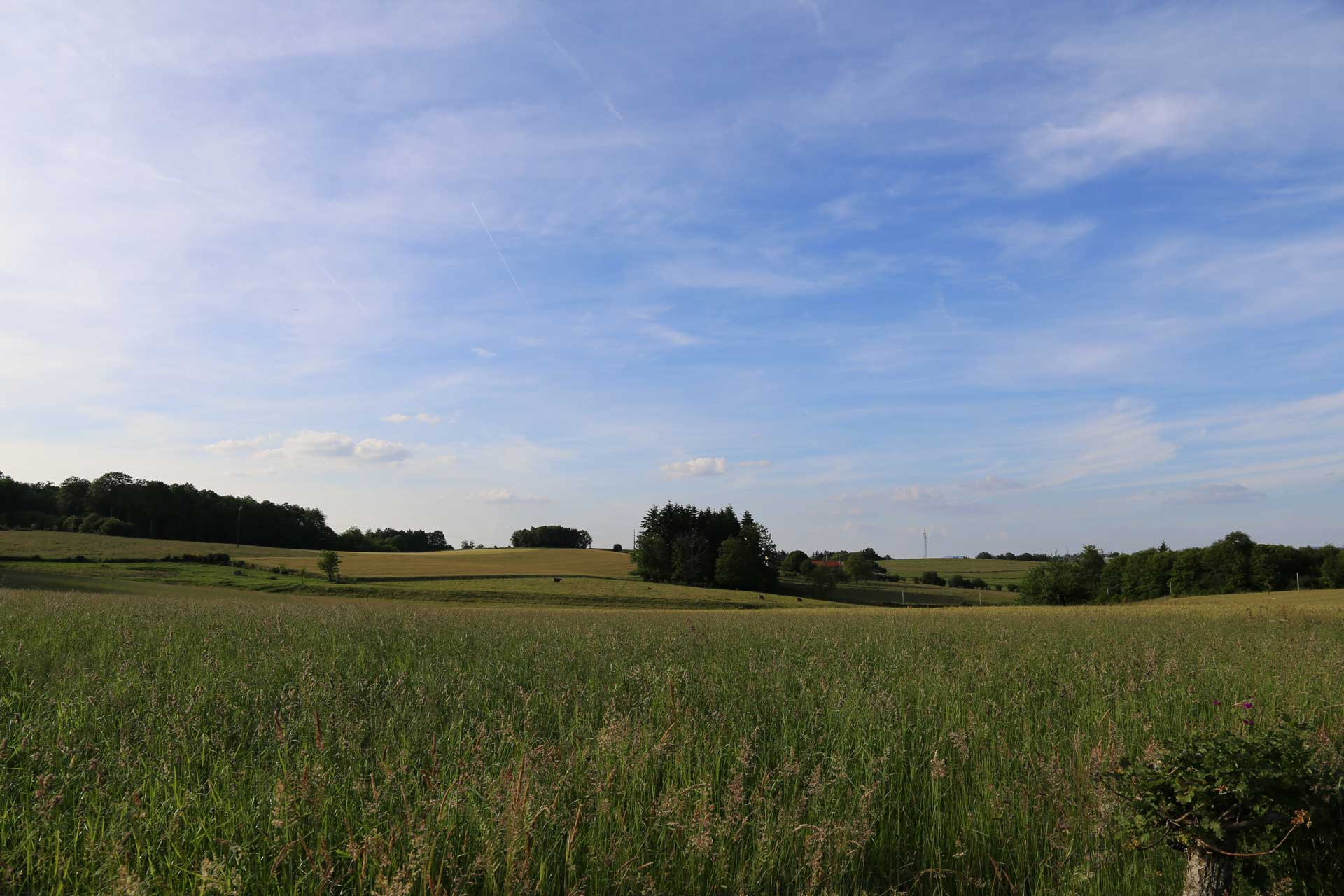 Sentier de la Villetelle, Châteauneuf-la-Forêt