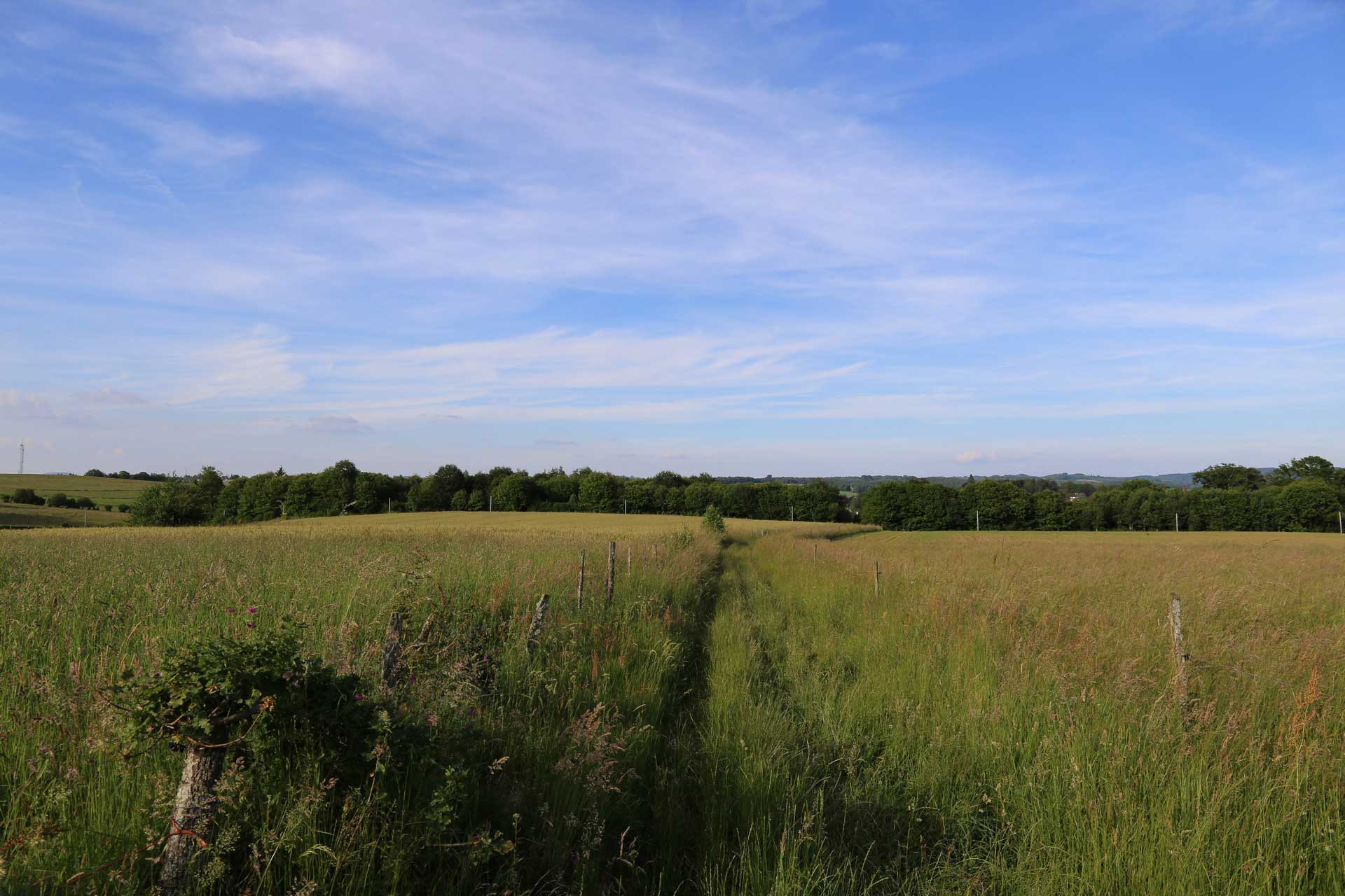 Sentier de la Villetelle, Châteauneuf-la-Forêt - photo 7