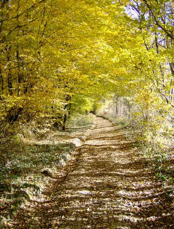 Sentier La font du loup, Val-d'Oire-et-Gartempe