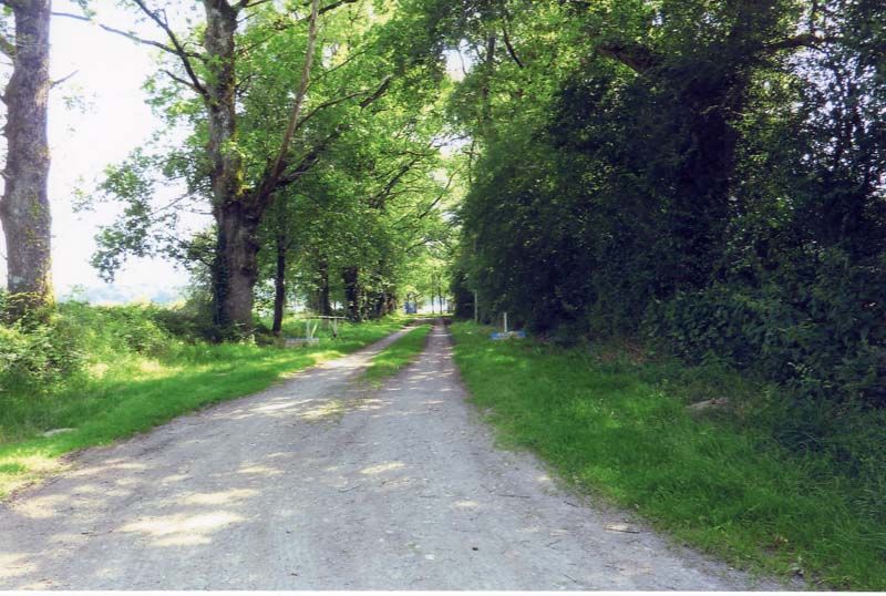 Randonnée des vieux chênes, Azat-le-Ris - photo 3